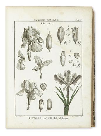 (BOTANICAL.) Diderot, Denis; and Jean le Rond dAlembert.